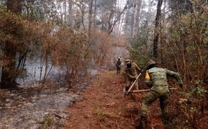 Controlado 60% incendio en El Cielo 🔥