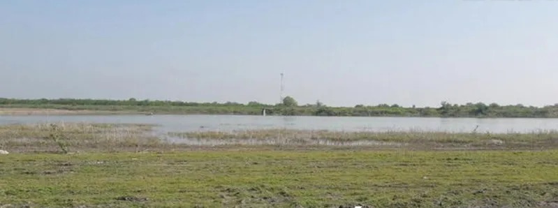 Ejidos de Victoria se están quedando sin agua; Dámaso Anaya