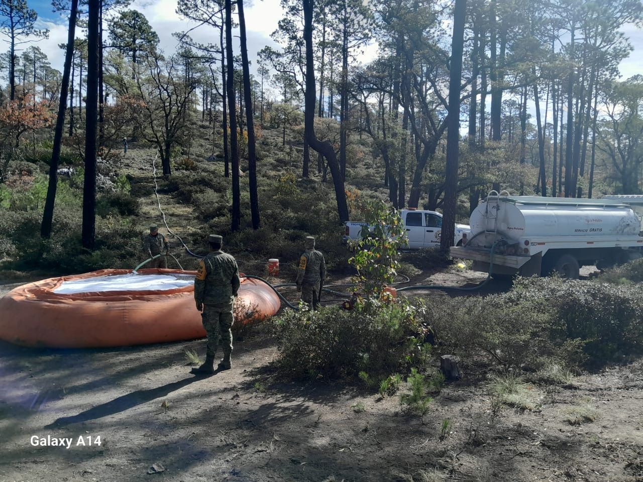Extinguidos dos incendios forestales en Tamaulipas, tras esfuerzos coordinados