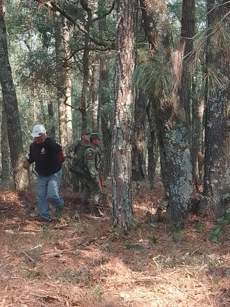 Continúa combate del incendio en el Cañón del Novillo