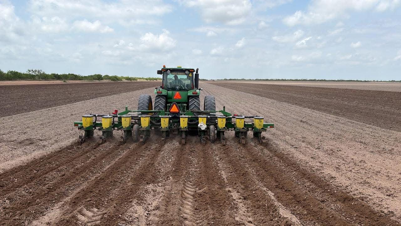 Campo tamaulipeco en crisis