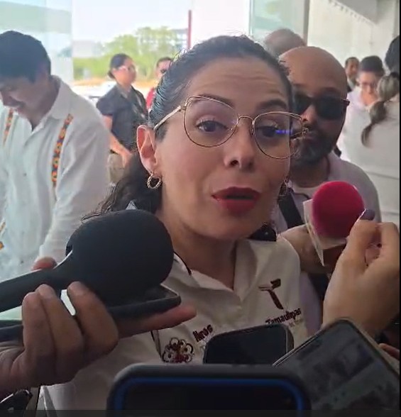 Atiende Instituto de Mujeres, 875 casos de violencia.